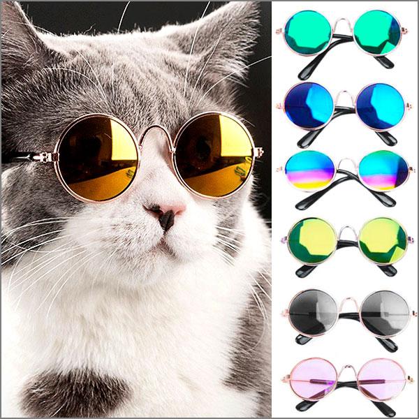 Sunglasses for Cats