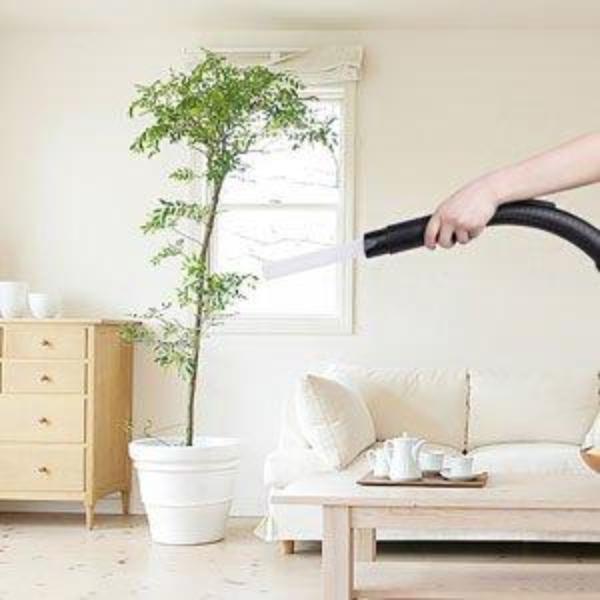 Magic Vacuum Brush